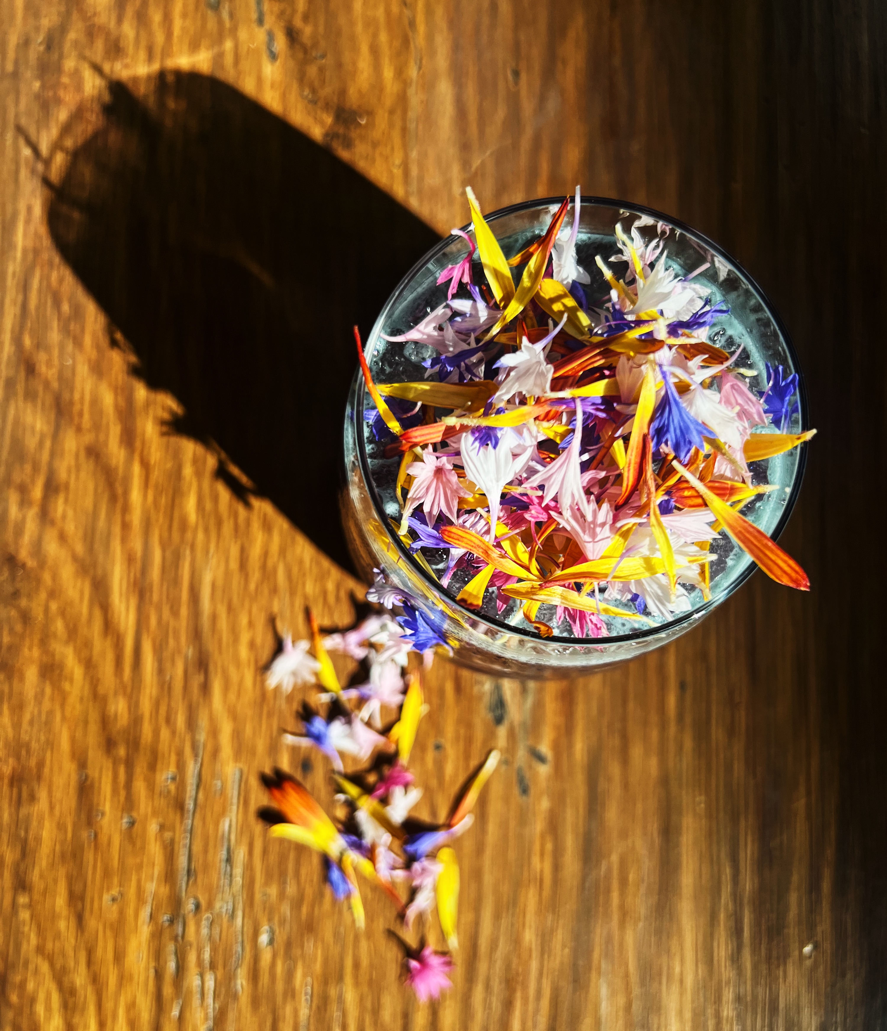 Operational beverage program support for hospitality teams